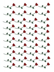 Rose decoration on white background