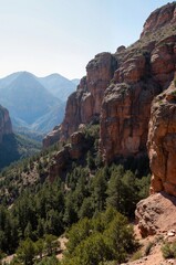 Fototapeta premium Red Rock Canyon Landscape