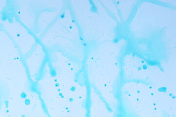 Abstract pattern drawn with blue paint on white paper background. Graphic resource.