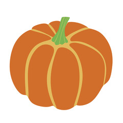Pumpkin with Stem, Autumn Harvest Vegetable Illustration