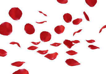 Vibrant red rose petals with subtle motion blur, scattered dynamically in mid-air, individually distinct, on a pristine plain white background with diffused studio lighting from a top-down view.