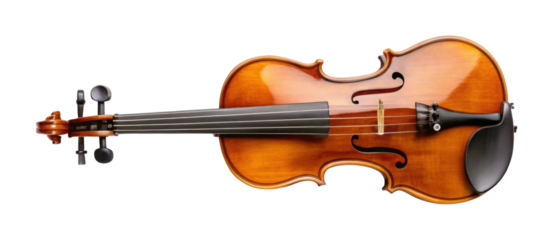 Classical acoustic violin isolated on white surface
