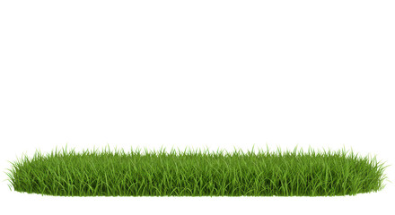 Vibrant green grass border, meticulously manicured, individual lush blades, lifelike accuracy, against a seamless transparent background with extensive clean copy space, no shadows, concept of natural
