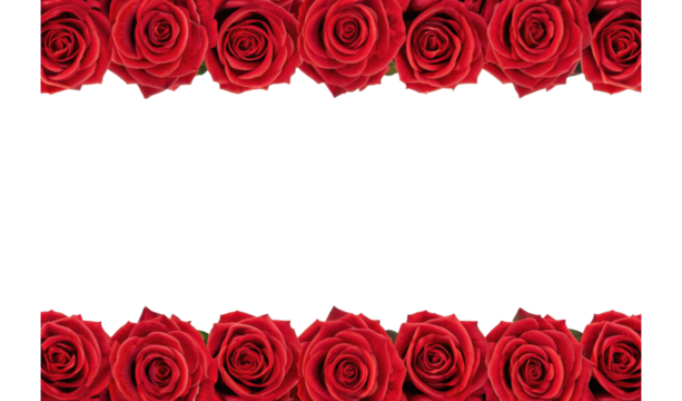 Red roses border frame with symmetrical floral arrangement