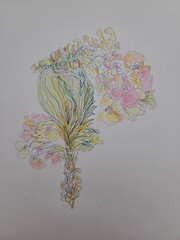 illustration for card by hand made drawing suing ink and colourful pens