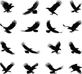 Black Eagles Silhouette Vector Set for Print and Logo Use