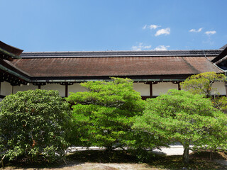 Fototapeta premium 観光名所京都御所の庭園の風景