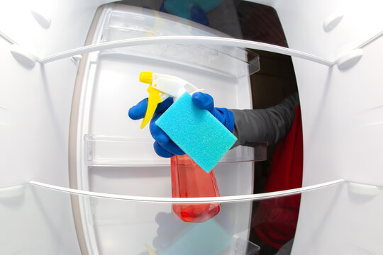 cleaning and washing the inside of the refrigerator with a detergent spray and sponge. professional service for disinfection of kitchen equipment for food preservation