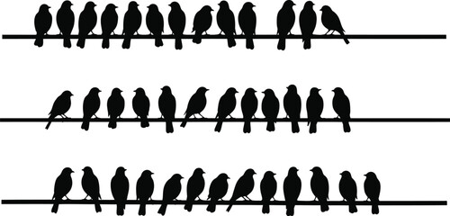 Silhouette of many birds perched on three parallel wires against a white background in a simple design