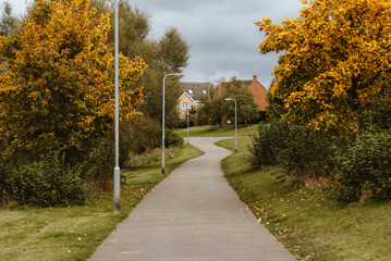 Suburban path with autumn trees. High quality photo
