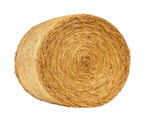 Large round hay bale isolated on black background for agricultural use