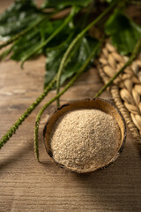Discover the benefits of psyllium fiber and its role in a healthy KETO diet