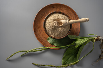 Psyllium husk powder nestled in a rustic bowl with fresh plantago leaves and a wooden scoop atop a gray background
