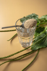 Focus on the versatile benefits of psyllium, a soluble fiber derived from plantago, for enhancing health and nutrition on the KETO diet