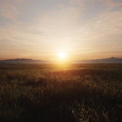 Golden sunrise over a field