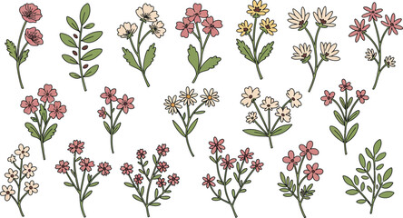 Fototapeta premium Delicate Floral Sprigs and Botanical vector illustration