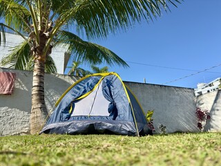 Tenda de campismo montada num relvado tropical sob uma palmeira num dia ensolarado. Ambiente tranquilo e perfeito para lazer ao ar livre.