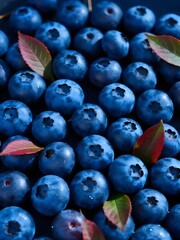 Fototapeta premium Close-up of fresh blueberries with vibrant details and natural lighting. Great for health food, nature, or farm-to-table promotions.