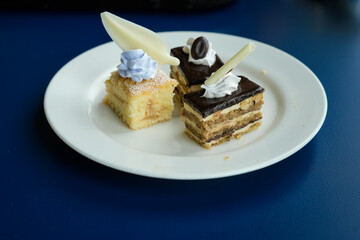 A delectable display of miniature desserts on a white plate
