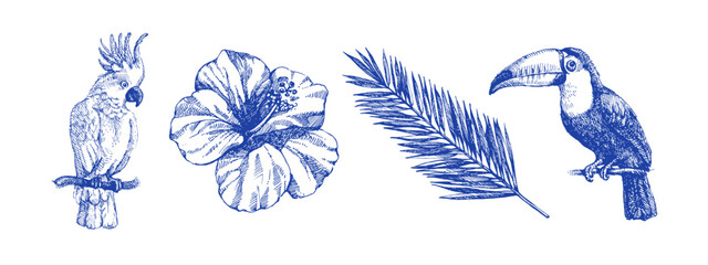 Hand drawn sketch tropical leaves and birds set. Vintage exotic plants. Vector isolated illustration on white background © pim