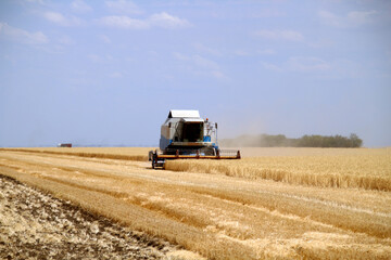 Obraz premium combine harvester in field