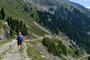 Obraz premium Mann und sein Lagotto Romagnolo wandern im Ultental in Südtirol 