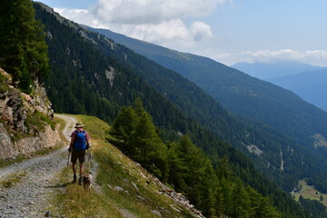 Fototapeta premium Mann und sein Lagotto Romagnolo Hund wandern im Ultental in Südtirol 