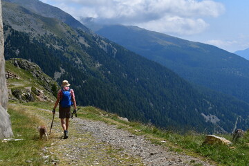 Fototapeta premium Mann und sein Lagotto Romagnolo Hund wandern im Ultental in Südtirol 