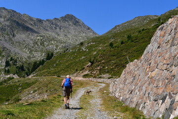 Fototapeta premium Mann und sein Lagotto Romagnolo Hund wandern im Ultental in Südtirol 