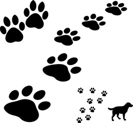 animal paw prints
