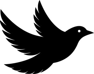 dove of peace on white background