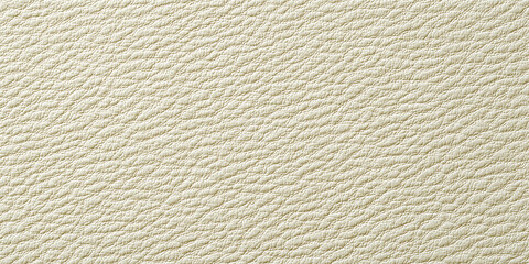 Creamy texture, a close-up view of the luxurious and subtle cream-colored surface