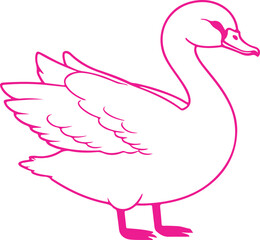vector illustration of a flamingo