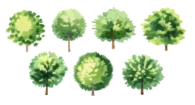 Watercolor Tree Collection with Green Foliage in Front View for Landscape and Garden Design Projects.