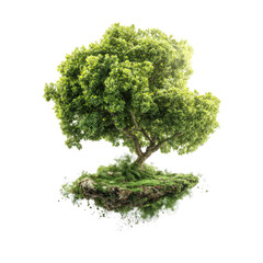 Obraz premium Floating green tree in a lush environment