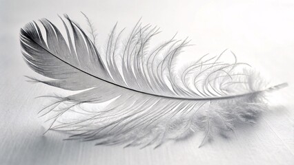 Obraz premium White feather macro on light background, soft delicate feather closeup, airy lightness, purity, minimal natural texture for design