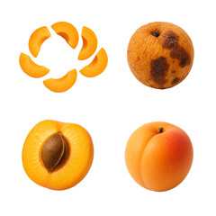 set of loquat, isolated white background