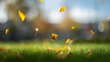 Falling leaves on a breezy autumn day