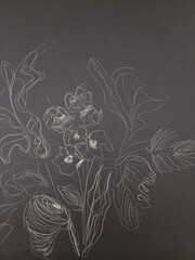 sketch of flowers and leaves using white pen on black paper. Hand made drawing
