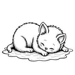 Sleeping kitten on fluffy rug – Cozy home environment, pet care