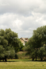 Obraz premium A house in a wooded area