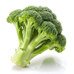 Broccoli isolated on transparent background  