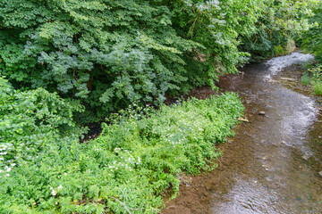 Obraz premium Die Fachwerkstadt Einbeck im HArz