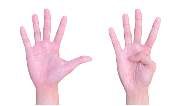 Woman's hand with index finger pointing up, making a touching or choosing gesture. female hands isolated on white background. female hands isolated on white. hand of the child. sign language 