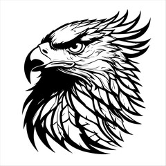 Fototapeta premium Majestic Eagle Portrait Illustration Bold Lines and Striking Detail for Creative Projects