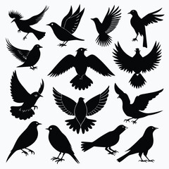 Obraz premium Collection of fourteen distinct bird silhouettes in various poses