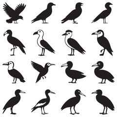 Obraz premium Collection of diverse bird species silhouettes in black and white graphic composition