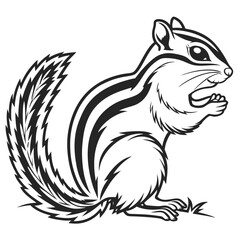 A cute chipmunk with stripes on its back and tail