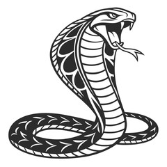 Fototapeta premium A striking cobra snake with its hood flared in a defensive posture