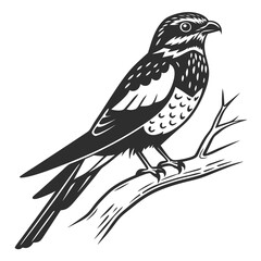 Obraz premium A falcon perched on a branch, isolated on white